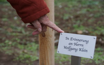 ‚Der Baum der Erinnerung‘