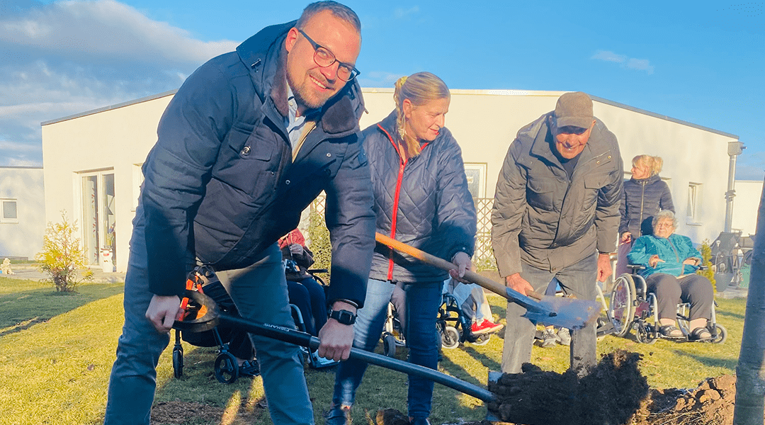 Eine Esskastanie für den Humanas-Wohnpark Schwanebeck