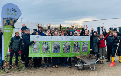 „Otto pflanzt!” rund 500 Pflanzen mit Humanas-Wohnpark Diesdorf