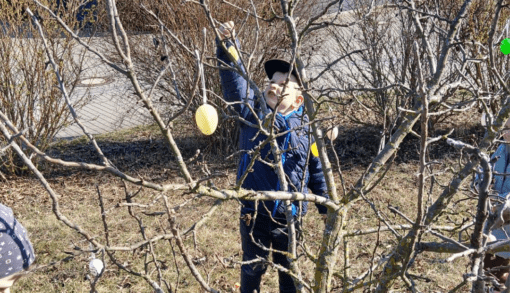 Nach dem Eierfärben mit den Bewohnerinnen und Bewohnern in Meisdorf, haben die Selketalzwerge das Wohnpark-Gelände mit bunten Eiern geschmückt. Foto: Humanas