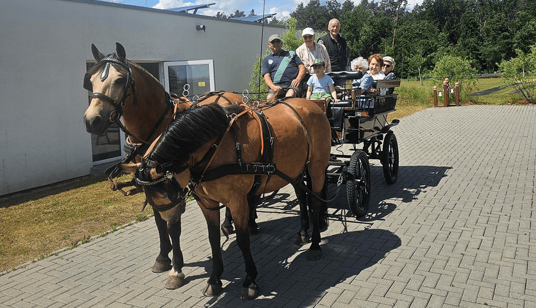 Bei der Kaffeekutschfahrt durch die Altmark genießen die Bewohnerinnen und Bewohner aus dem Wohnpark Grieben die gemeinsame Zeit und die Natur. Foto: Humanas