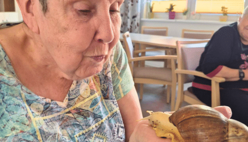 Bewohnerin Brigitte Finger ließ die Amerikanischen Riesenschnecken über ihre Hände kriechen. Foto: Humanas